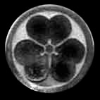 murase crest
